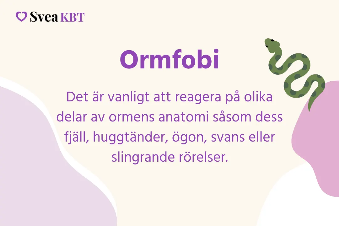Ormfobi Ormfobi