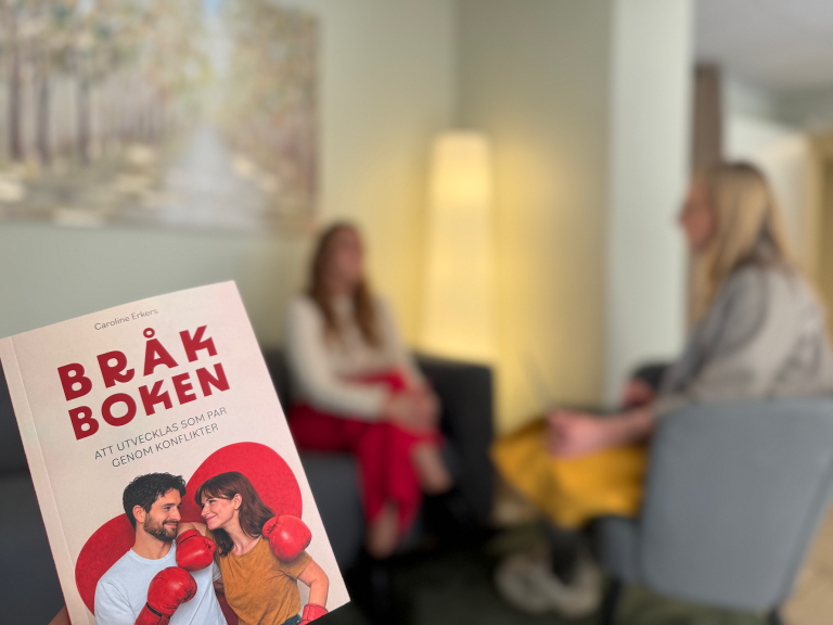 Bråkboken